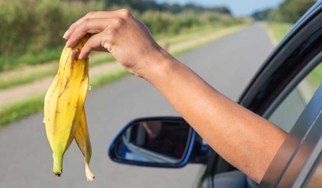 Levels of Conscience