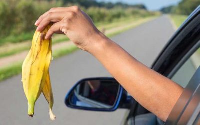 Levels of Conscience